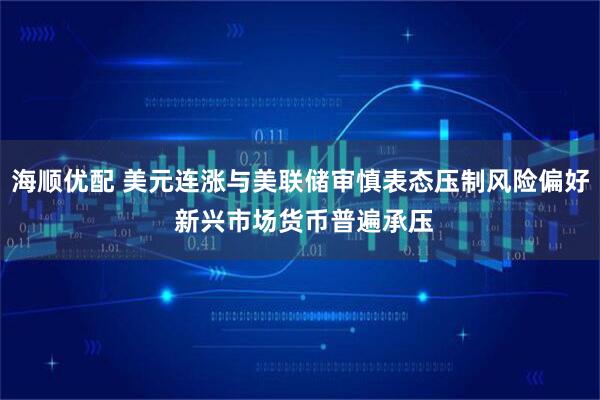 海顺优配 美元连涨与美联储审慎表态压制风险偏好 新兴市场货币普遍承压