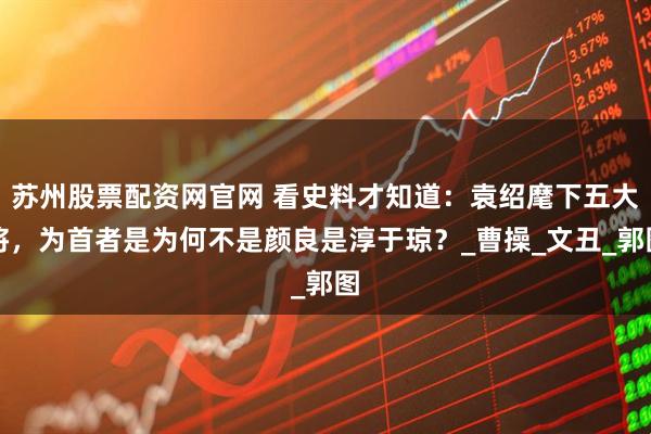 苏州股票配资网官网 看史料才知道：袁绍麾下五大将，为首者是为何不是颜良是淳于琼？_曹操_文丑_郭图