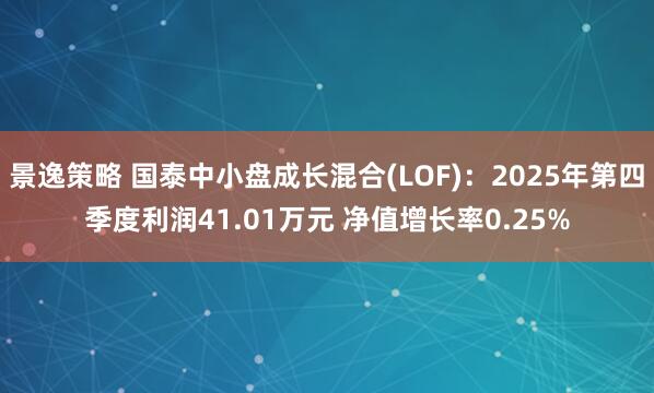 景逸策略 国泰中小盘成长混合(LOF)：2025年第四季度利润41.01万元 净值增长率0.25%
