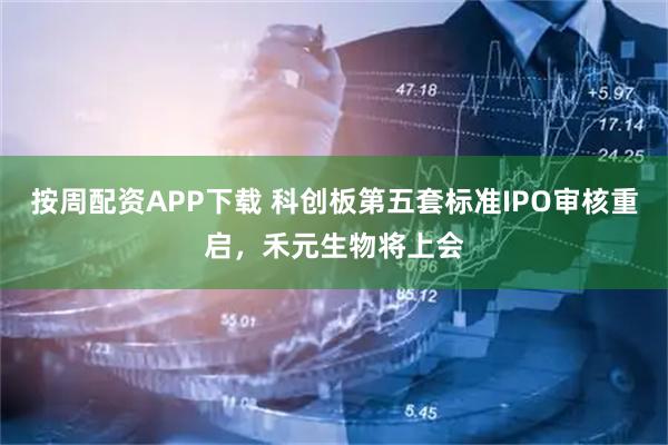按周配资APP下载 科创板第五套标准IPO审核重启，禾元生物将上会