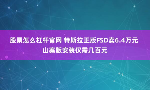 股票怎么杠杆官网 特斯拉正版FSD卖6.4万元 山寨版安装仅需几百元